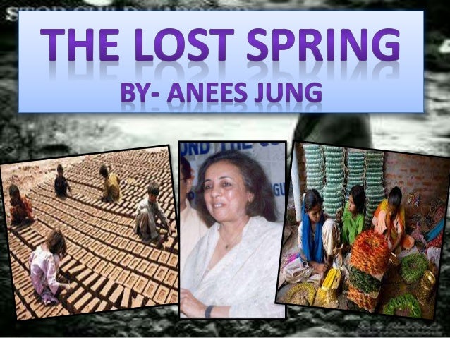 lost spring anees jung